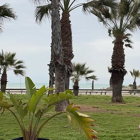 ''los Pinos'' 50m De La Apartment *